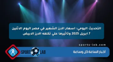 التحديث اليومي: أسعار الأرز الشعير في مصر اليوم الإثنين 7 إبريل 2025 وتأثيرها على تكلفة الأرز الأبيض